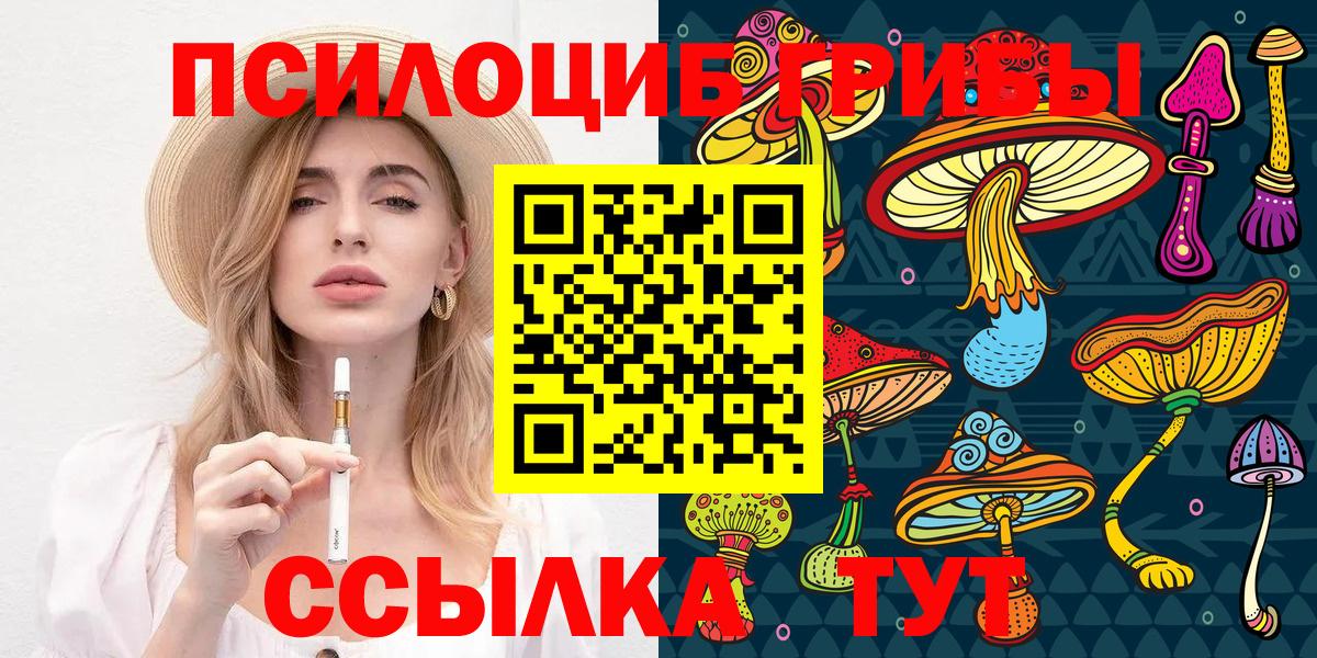 Галлюциногенные грибы GOLDEN TEACHER Буйнакск